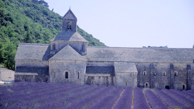 provence group tours