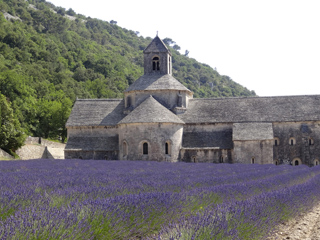 provence lavender tours